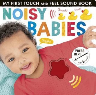 My First Touch and Feel Sound Book: Noisy Babies - Little Tiger Press Kitap