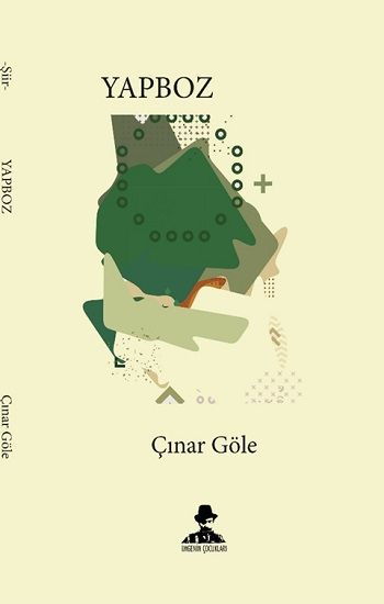 YapBoz – Çınar Göle – İmgenin Çocukları – kitap kapağı