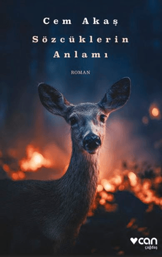 Sözcüklerin Anlamı - Can Yayınları Kitap