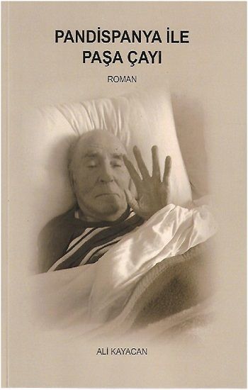 Pandispanya İle Paşa Çayı – Ali Kayacan – Deka Yayınları – kitap kapağı