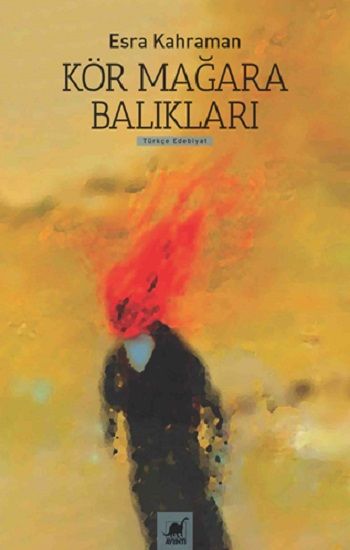 Kör Mağara Balıkları – Esra Kahraman – Ayrıntı Yayınları – kitap kapağı