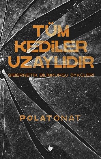 Tüm Kediler Uzaylıdır - Buğday Yayınları Kitap