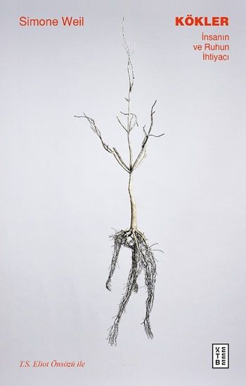 Kökler - Ketebe Yayınları Kitap