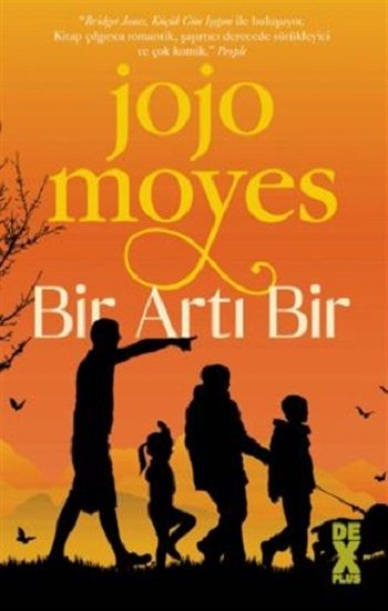 Bir Artı Bir - Dex Yayınevi Kitap