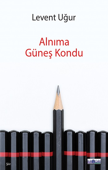 Alnıma Güneş Kondu - Favori Yayınları Kitap
