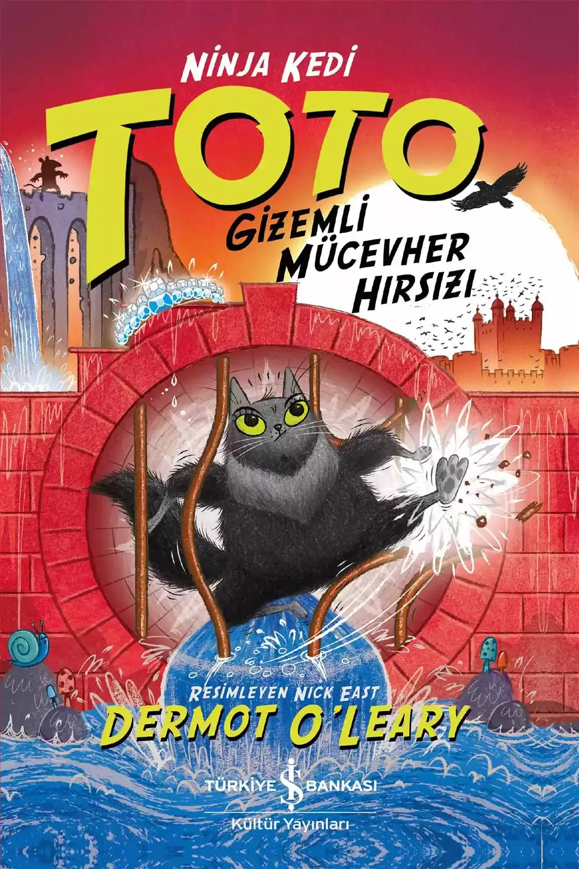 Ninja Kedi Toto – Gizemli Mücevher Hırsızı – Dermot O'Leary – İş Bankası Kültür Yayınları – kitap kapağı