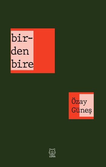 Birdenbire – Özay Güneş – Luna Yayınları – kitap kapağı
