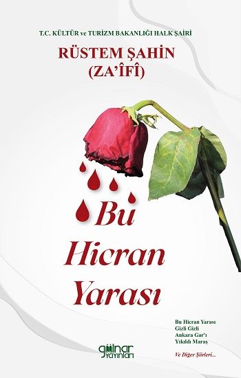 Bu Hicran Yarası – Rüstem Şahin – Gülnar Yayınları – kitap kapağı