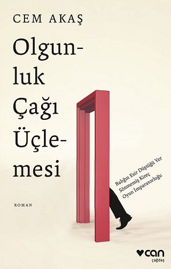 Olgunluk Çağı Üçlemesi - Can Yayınları Kitap