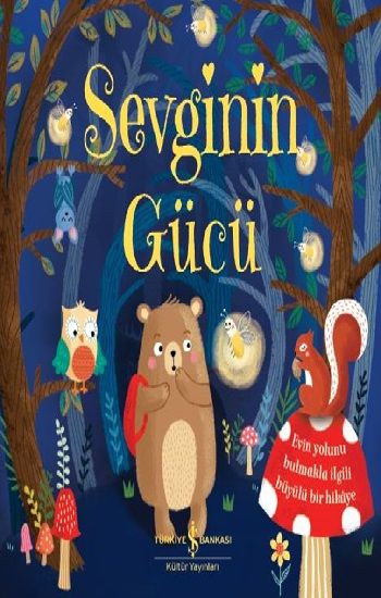 Sevginin Gücü – Caroline Richards – İş Bankası Kültür Yayınları – kitap kapağı