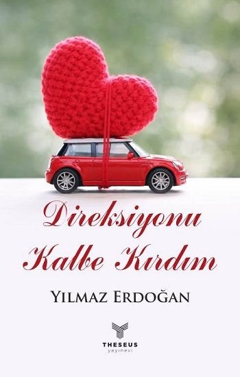 Direksiyonu Kalbe Kırdım - Theseus Yayınevi Kitap