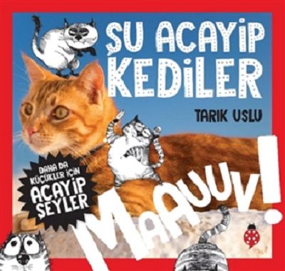 Şu Acayip Kediler - Maauuv! – Tarık Uslu – Uğurböceği Yayınları – kitap kapağı
