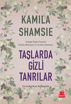 Taşlarda Gizli Tanrılar - Kırmızı Kedi Yayınevi Kitap