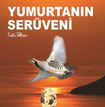 Yumurtanın Serüveni – Esila Tekkeşin – Kitap72 Yayınları – kitap kapağı