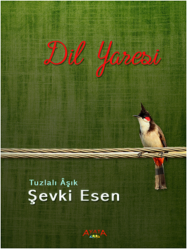 Dil Yaresi – Şevki Esen – Ayata Kitap – kitap kapağı