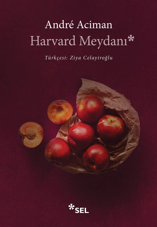 Harvard Meydanı - Sel Yayıncılık Kitap