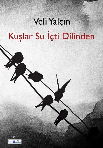 Kuşlar Su İçti Dilinden – Veli Yalçın – Favori Yayınları – kitap kapağı