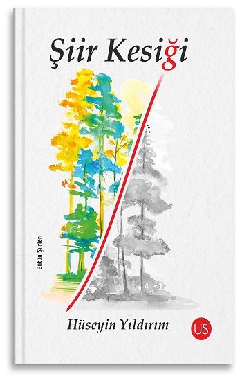 Şiir Kesiği - Us Yayınları Kitap