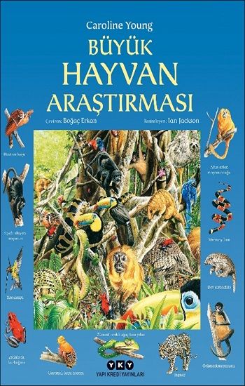 Büyük Hayvan Araştırması - Yapı Kredi Yayınları Kitap
