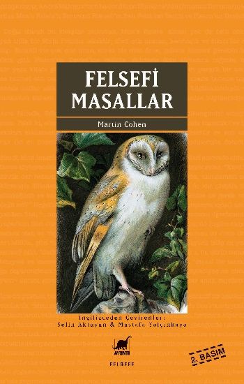 Felsefi Masallar – Martin Cohen – Ayrıntı Yayınları – kitap kapağı