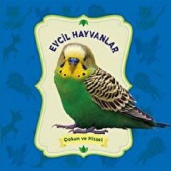 Dokun ve Hisset: Evcil Hayvanlar – Kolektif – 0-6 Yaş Yayınları – kitap kapağı