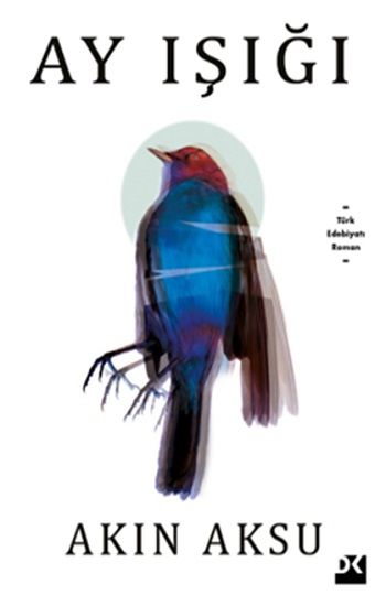 Ay Işığı – Akın Aksu – Doğan Kitap – kitap kapağı