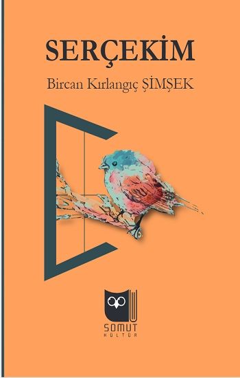 Serçekim - Somut Yayınları Kitap