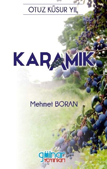 Karamık – Mehmet Boran – Gülnar Yayınları – kitap kapağı
