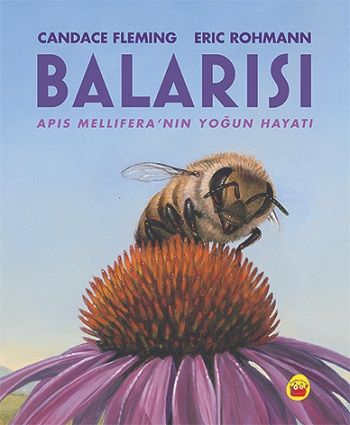 Balarısı – Candace Fleming & Eric Rohmann – Kuraldışı Yayınevi – kitap kapağı