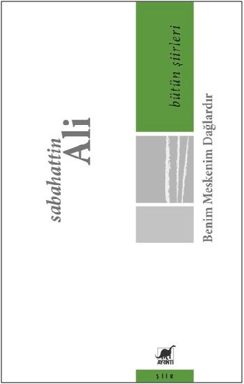 Benim Meskenim Dağlardır - Bütün Şiirleri - Ayrıntı Yayınları Kitap