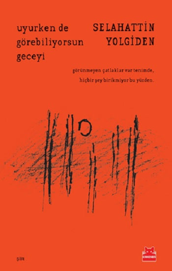 Uyurken de Görebiliyorsun Gecesi