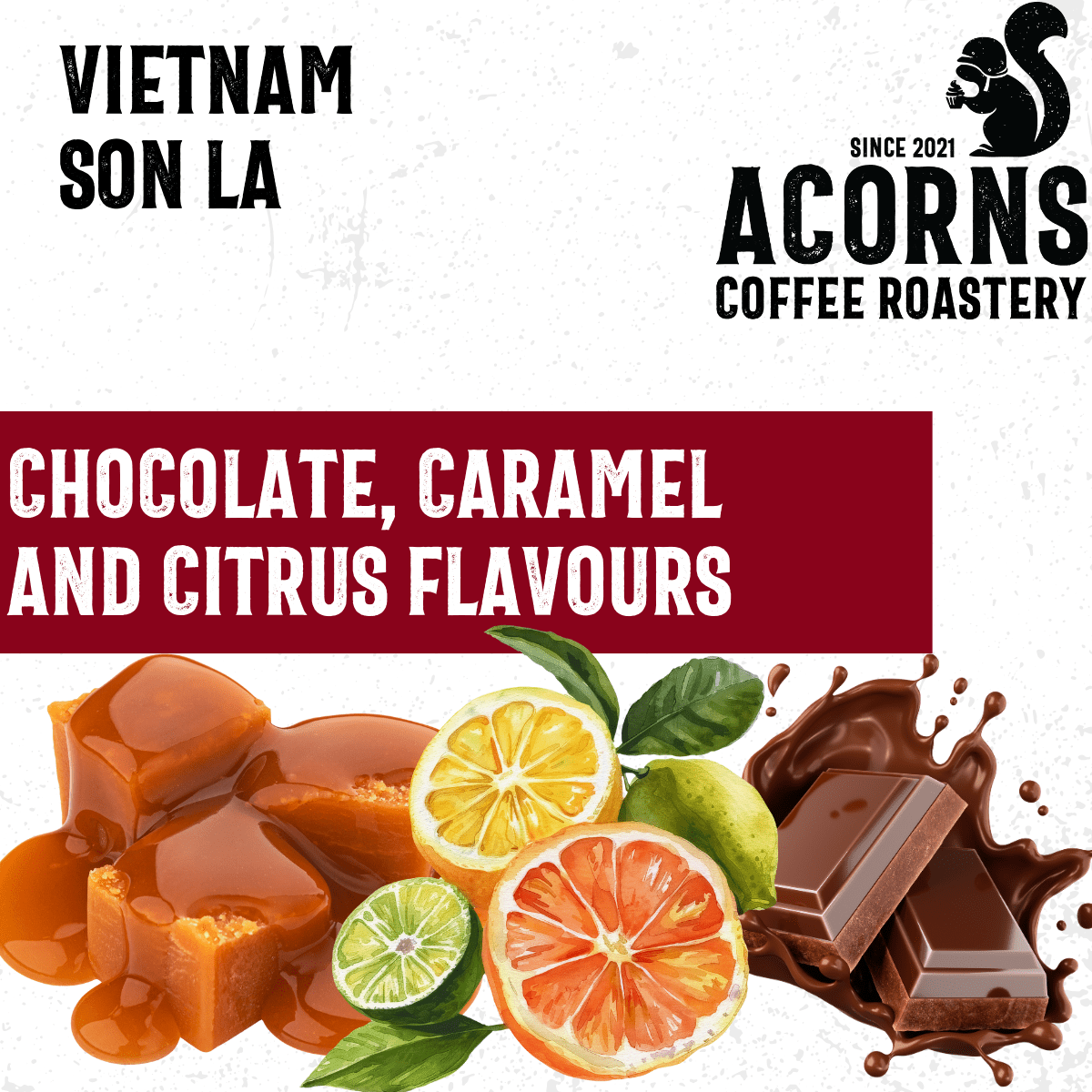 Vietnam Son La Medium Roast - mezetto Acorns Coffee & Cake Acorns Coffee & Cake