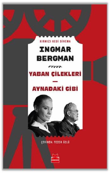 Yaban Çileleri - Aynadaki Gibi