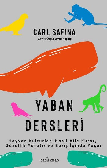 Yaban Dersleri