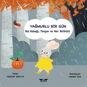 Yağmurlu Bir Gün - Perseus Kitap