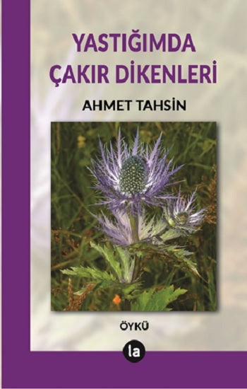 Yaşadığımda Çakır Dikenleri