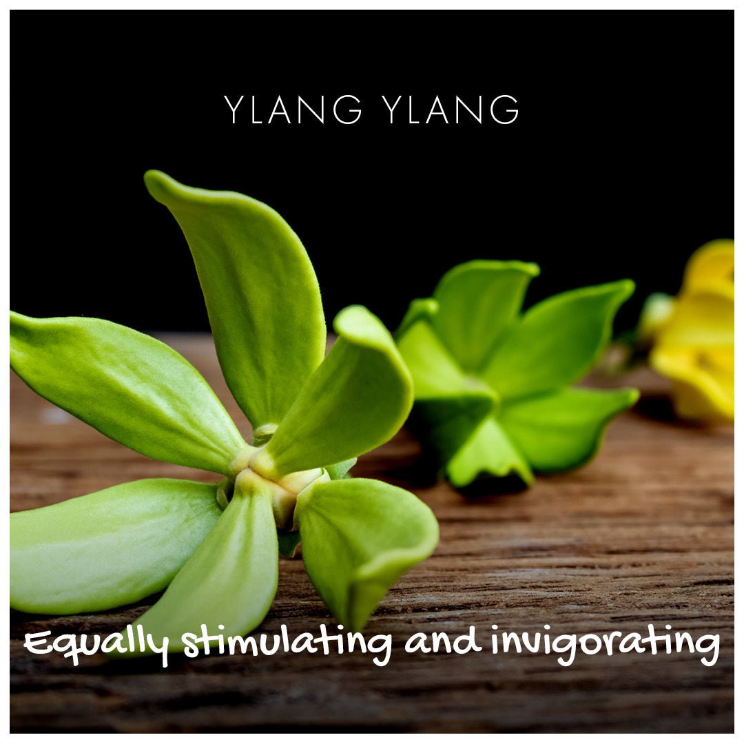 Ylang Ylang Natural Soap - mezetto Friendly Soap Friendly Soap